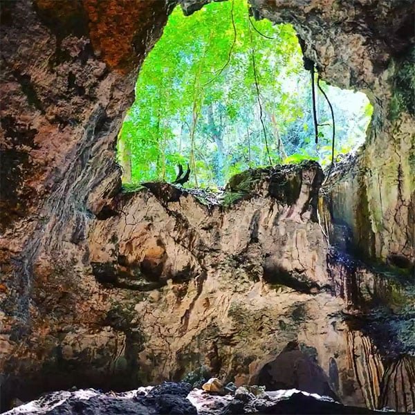 Haitises Park Tour Samana Dominican Republic.